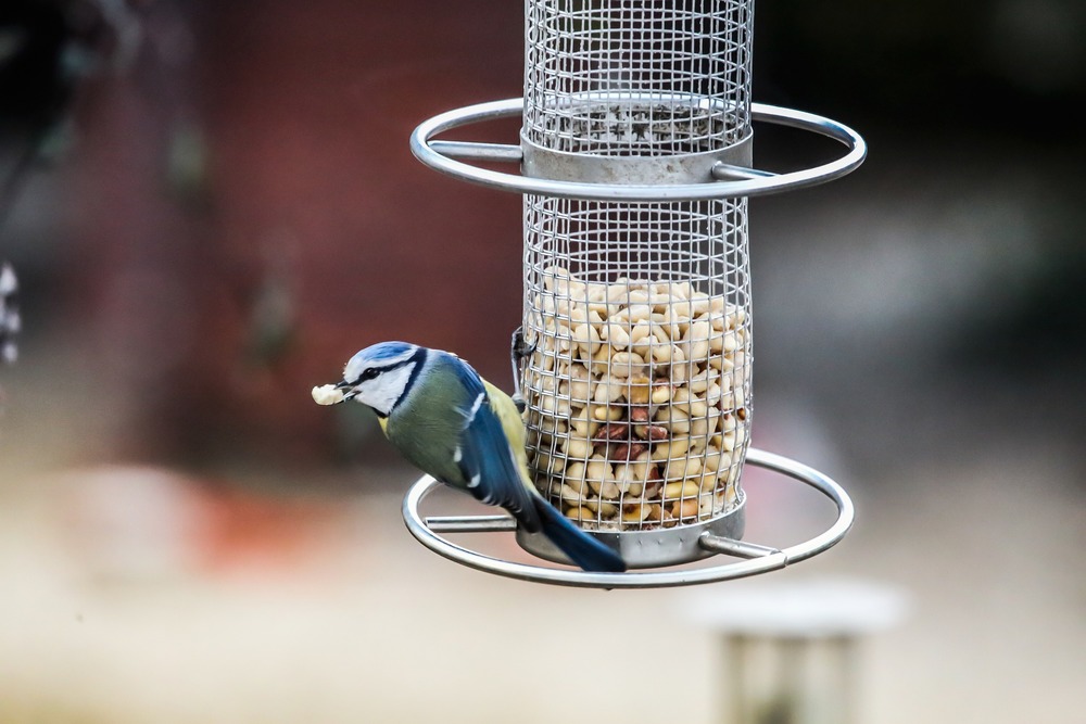 Modern bird feeders.