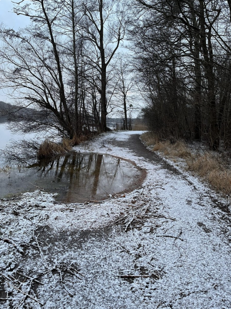 Paths surrounding Rusałka Lake are currently in bad shape.