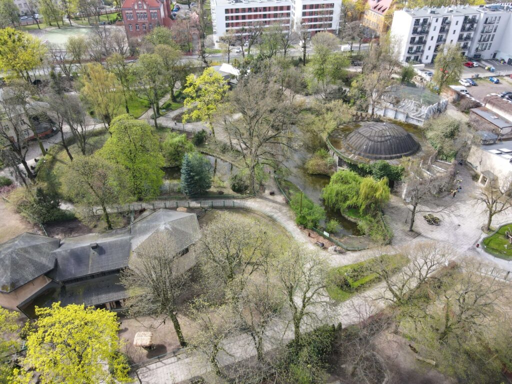 Japanese Garden in the Old Zoo
