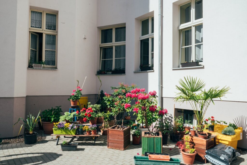 Spring 2025: Green initiatives in Poznań.