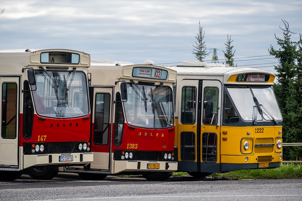 Historic Bus Fleet - MPK Poznan