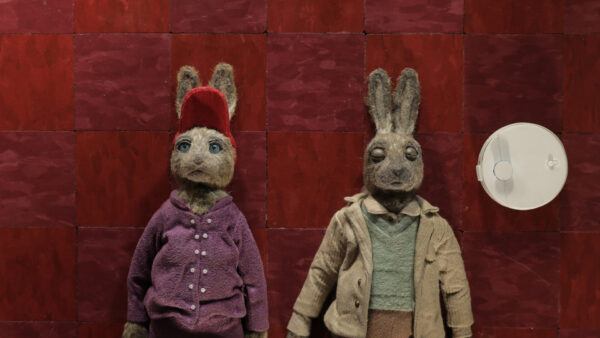 Animator International Animated Film Festival 2026: Discover Poland's Biggest Celebration of Animated Cinema