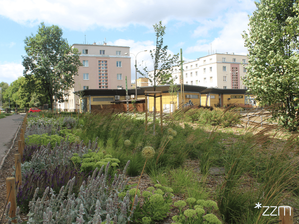 Poznań City Centre Getting Greener - ZZM