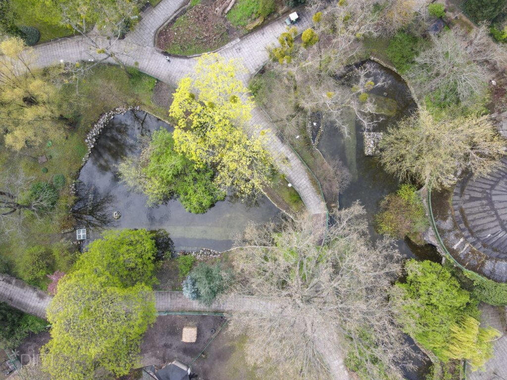 Japanese Garden in the Old Zoo