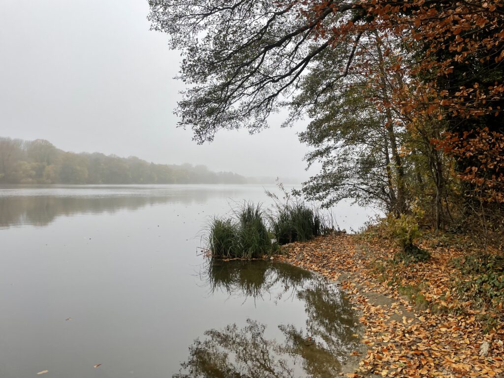 Rusałka Lake in Autumn.