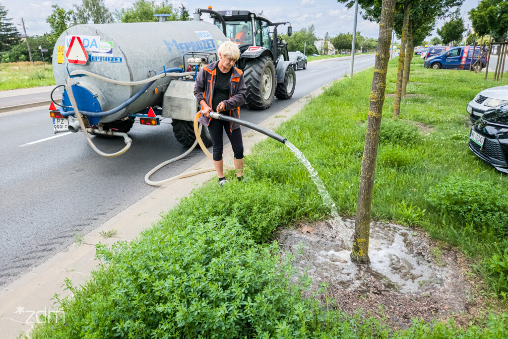 Watering Trees in Rain? Poznań’s Urban Greenery Puzzle Explained