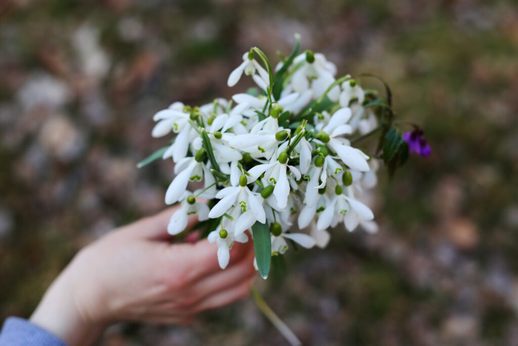 Spring in Poznań; Witnessing the nature.