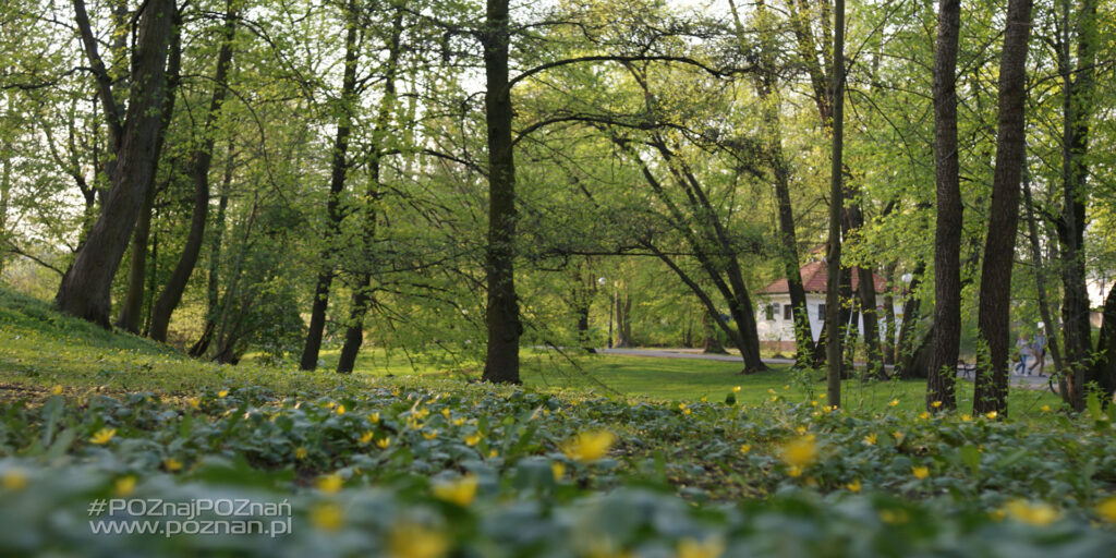 Park Sołacki – A Green Gem in the Heart of Poznań