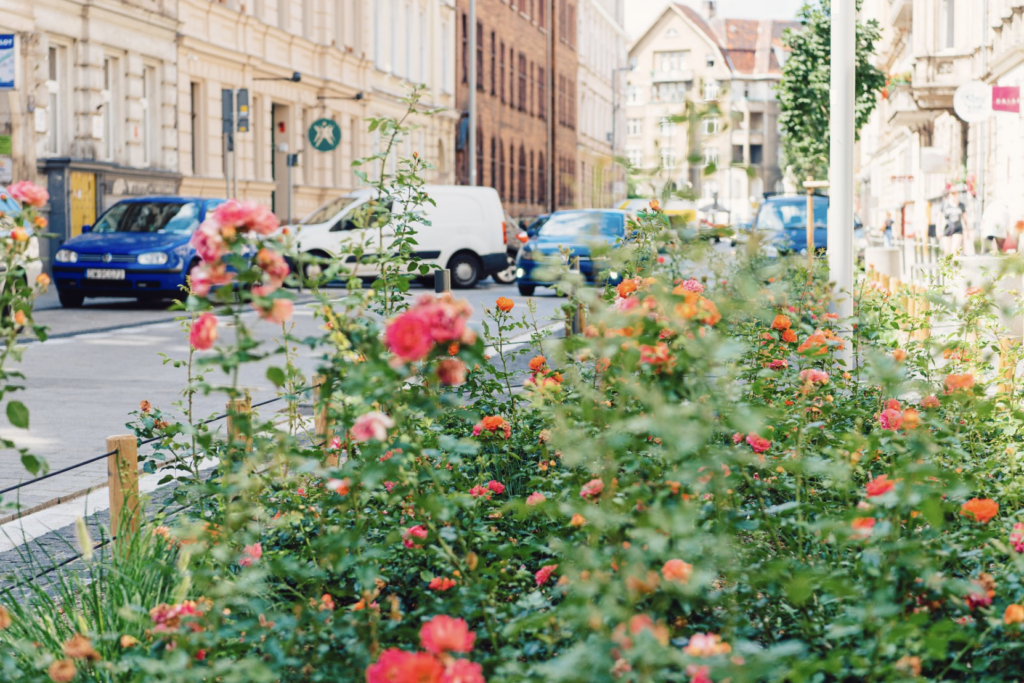 Eco Initiatives in Poznań