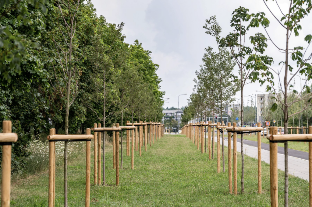Eco Initiatives in Poznań: Green Corridor Along Szymanowskiego Street.