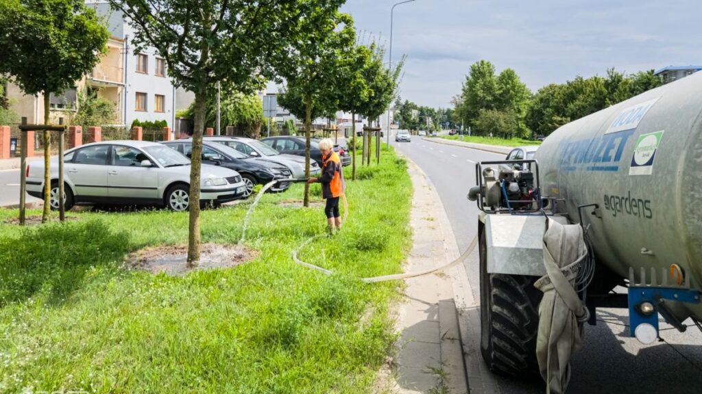 Watering Trees in Rain? Poznań’s Urban Greenery Puzzle Explained