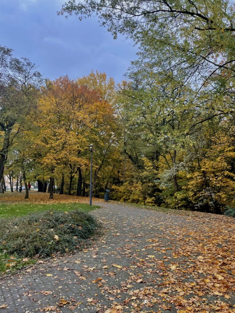 Poznań in Autumn