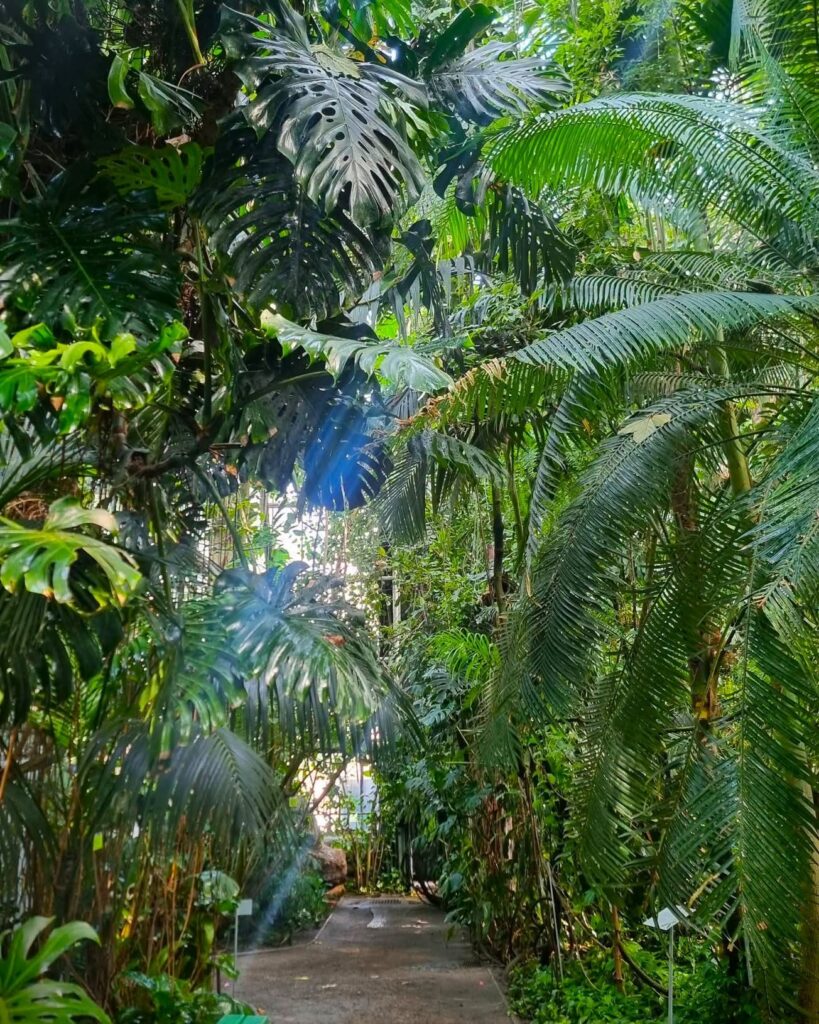 Poznań Palm House