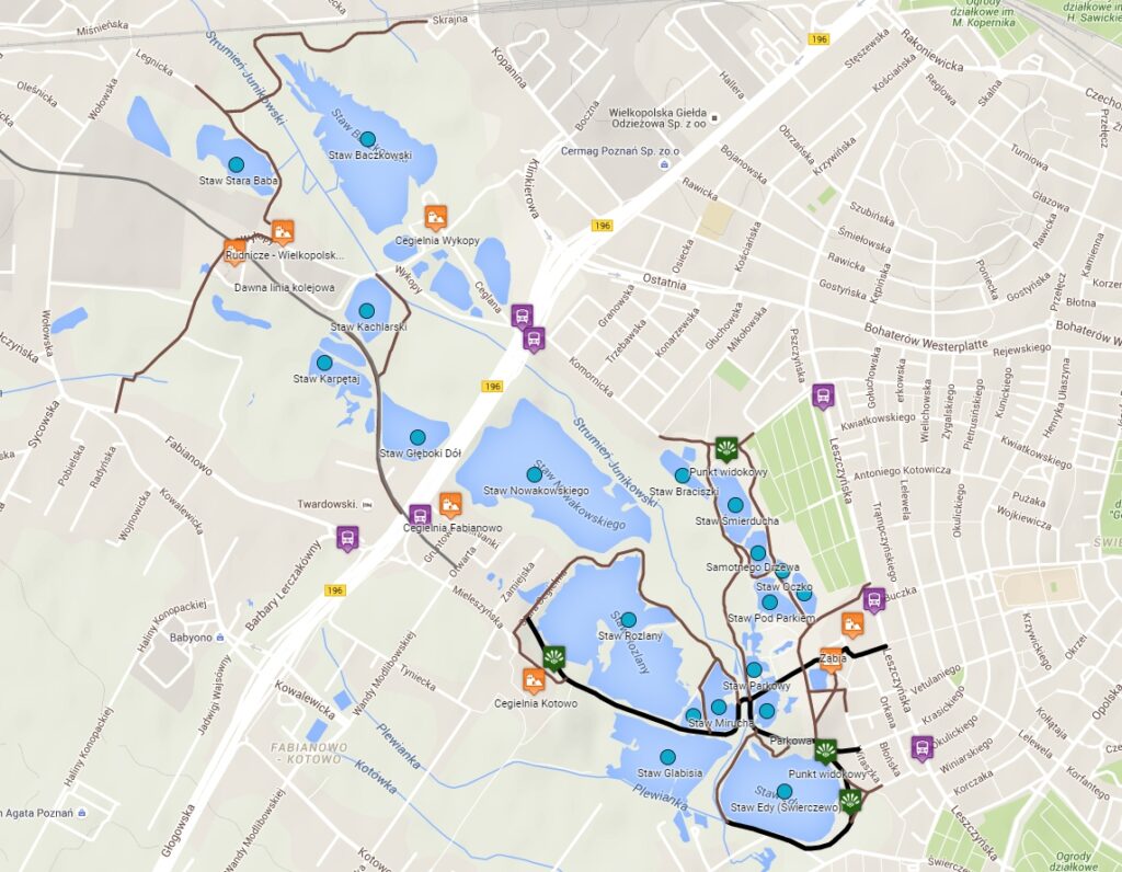 Szachty mapa. Twórca: Tomasz Wierzbicki 