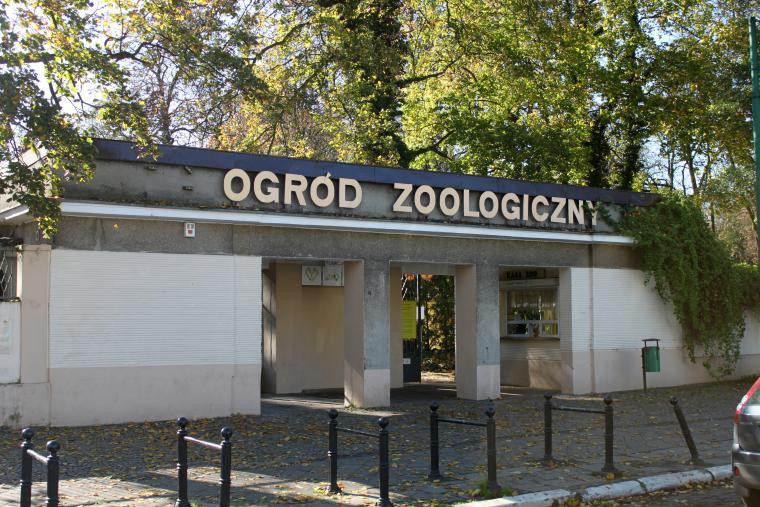 In 2025 Wild Summer Adventures Await at Poznań’s New Zoo