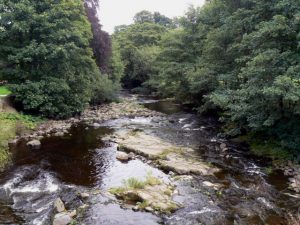 University of Sunderland to Present 350 Million Year History of the Wear