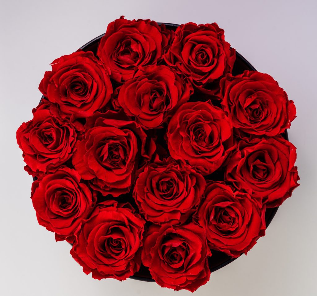 A unique Valentine’s Day in Sunderland