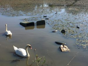 DownhillPond-before1