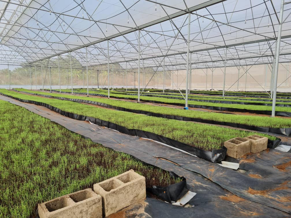 Sunderland University Grad Secures Multi-Million Dollar Funding To Support The Nigerian Farming Industry