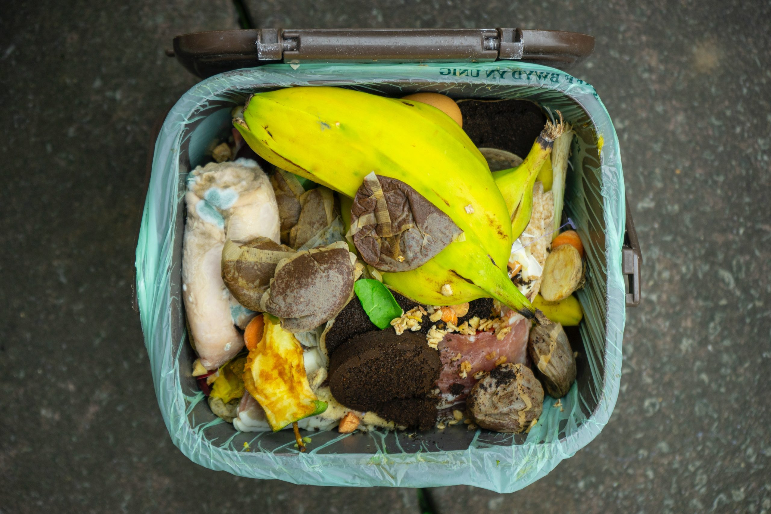 How Can We Change Our Shopping Behaviours for the Sake of Our Planet?
