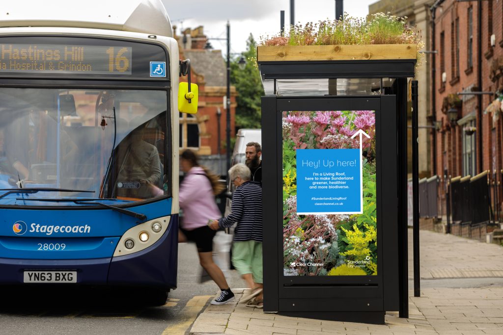 Sunderland's Blossoming Transformation: The Rise of Living Roof Bus Shelters