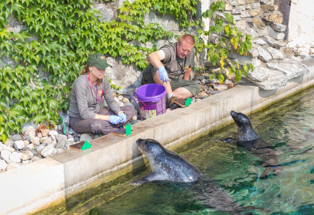 Visit Zoo Wrocław!