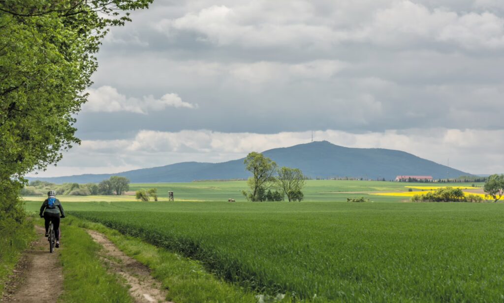 Walking Trails in Wrocław: 3 Scenic Routes to Fall in Love with the City