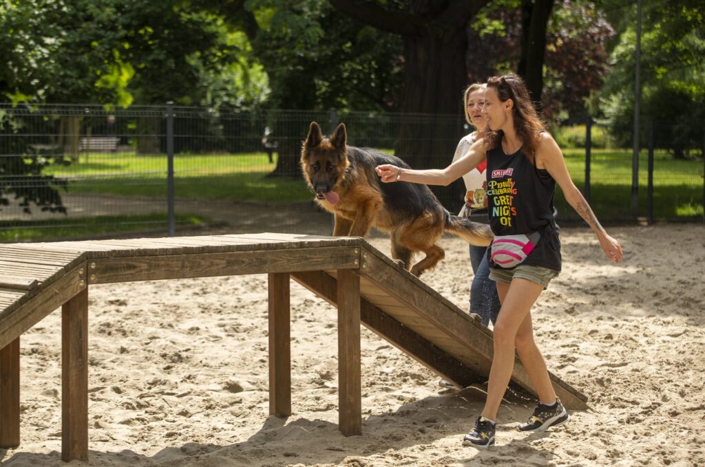 Dog Walking in Wrocław: The Best Routes, Parks, and Playgrounds for You and Your Pup