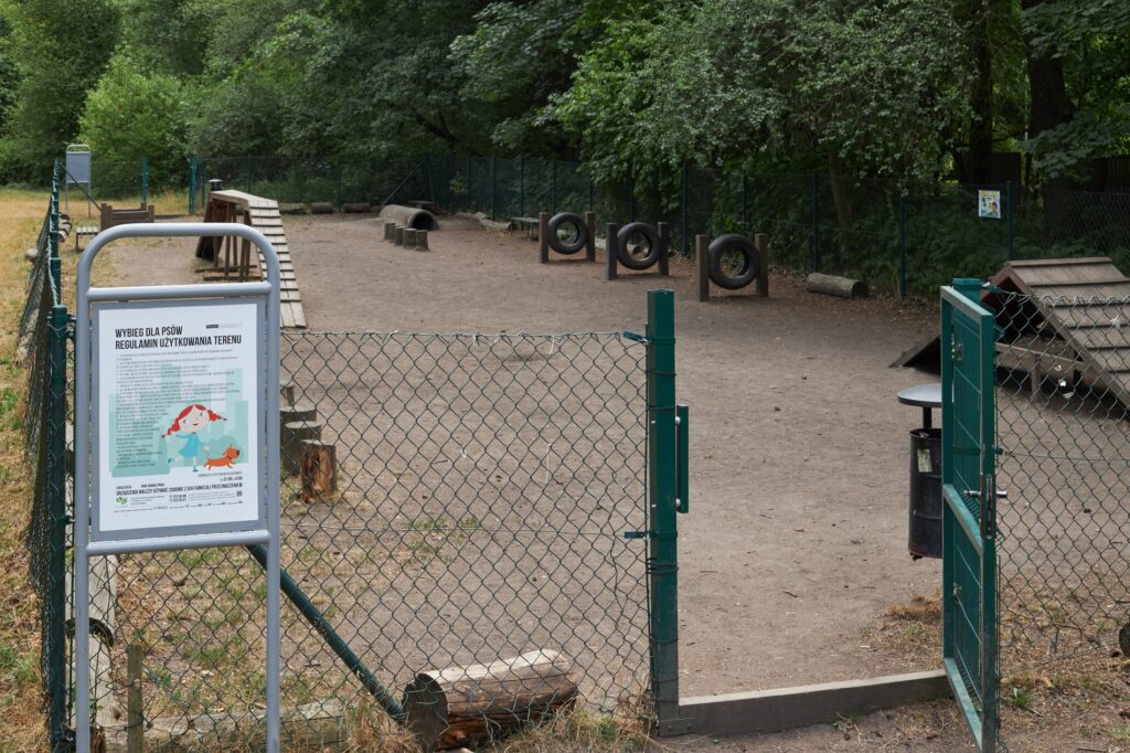 Dog Walking in Wrocław: The Best Routes, Parks, and Playgrounds for You and Your Pup