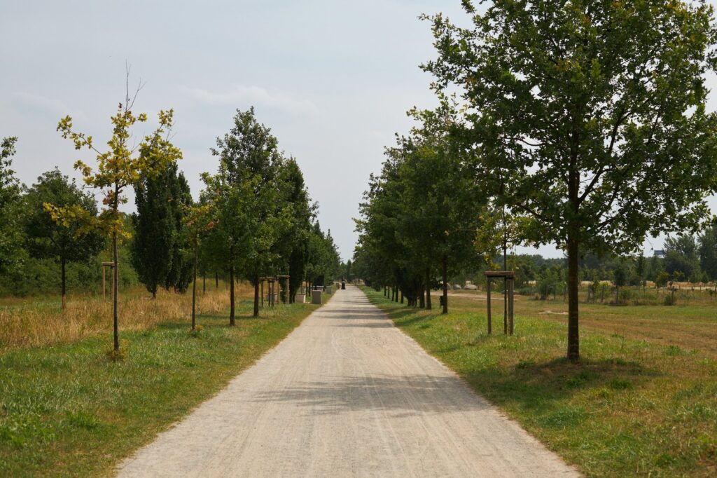 Discover Top 10 Best Parks in Wrocław