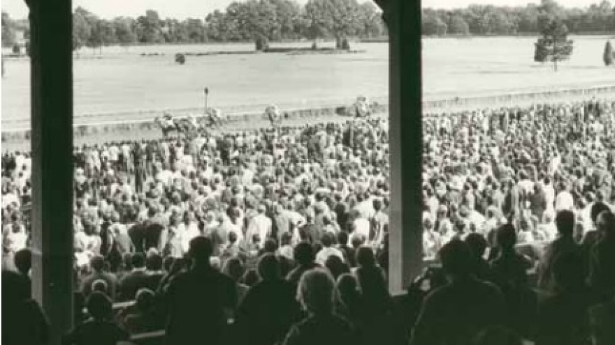 The Best of Wrocław Outdoors: Partynice Racecourse Has It All