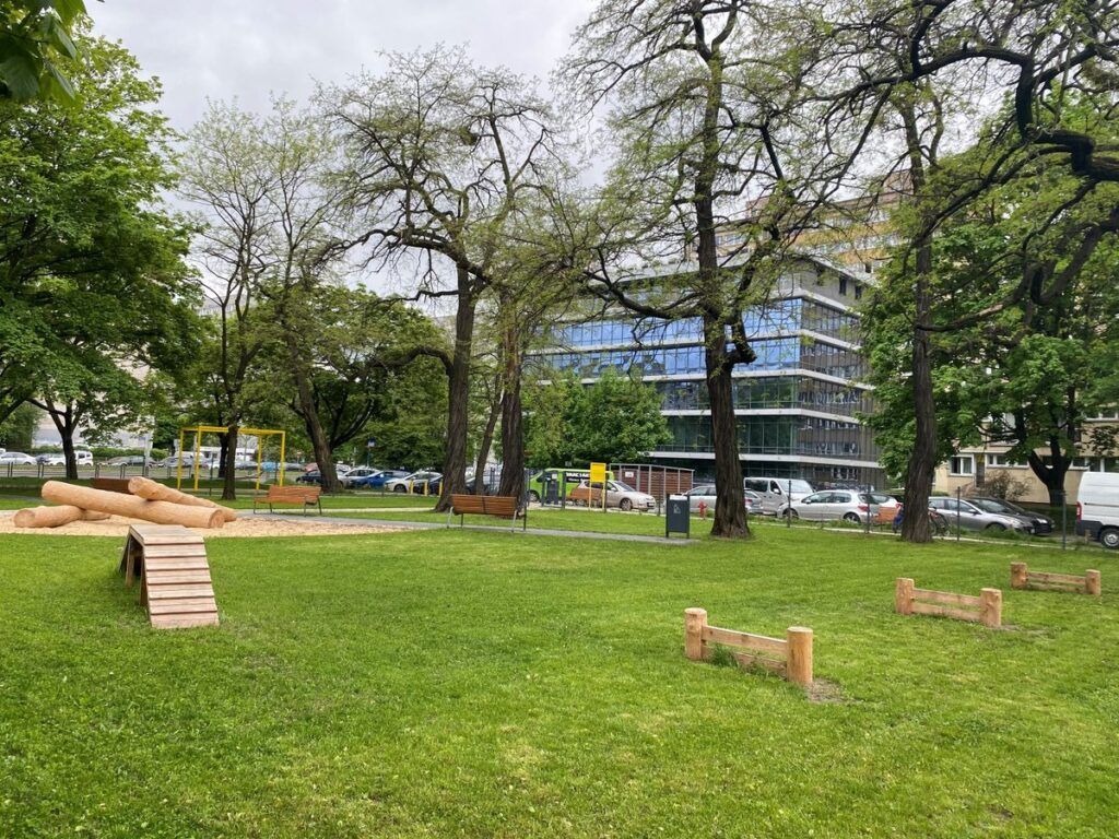 Dog Walking in Wrocław: The Best Routes, Parks, and Playgrounds for You and Your Pup