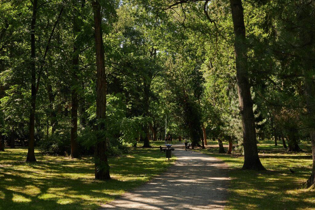 20+ Scenic Running Trails in Wrocław You’ll Love