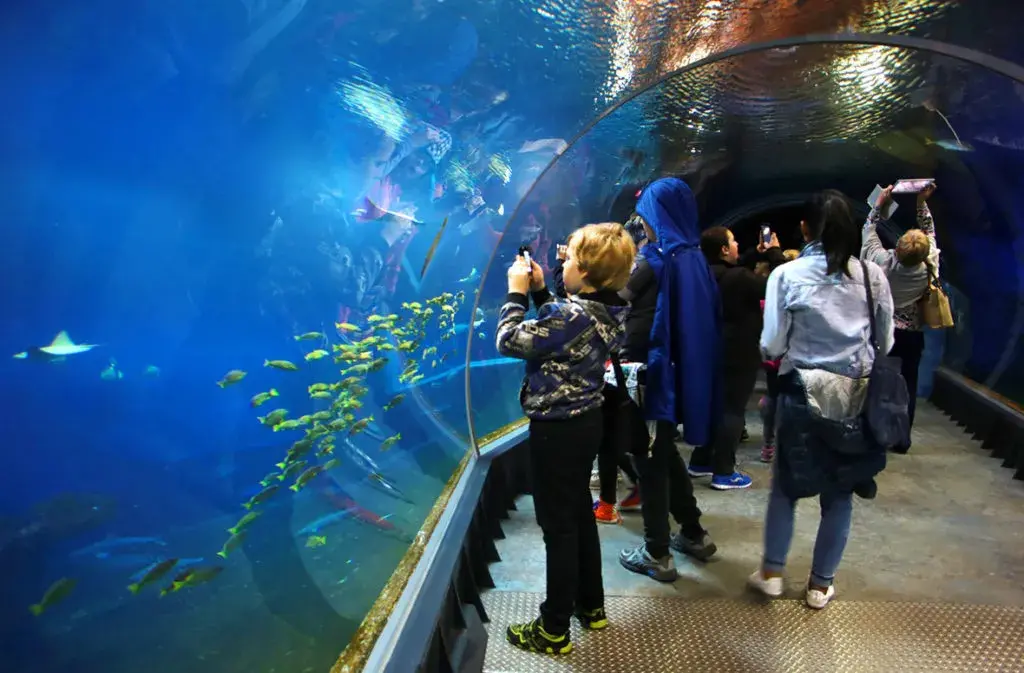 Afrykarium Wrocław