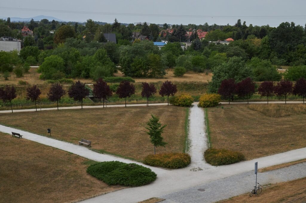 20+ Scenic Running Trails in Wrocław You’ll Love