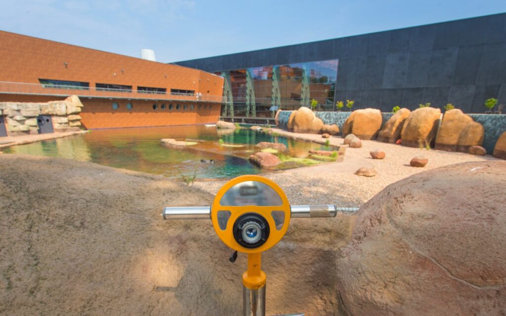 Visit Zoo Wrocław!