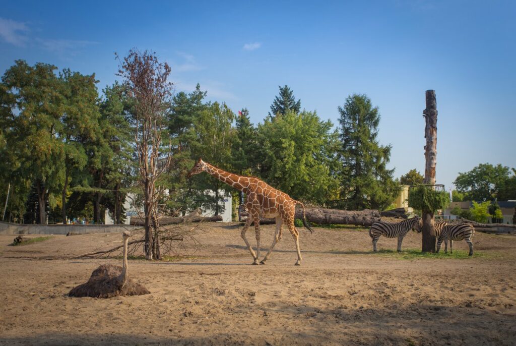 12 Must-See Attractions in Wrocław