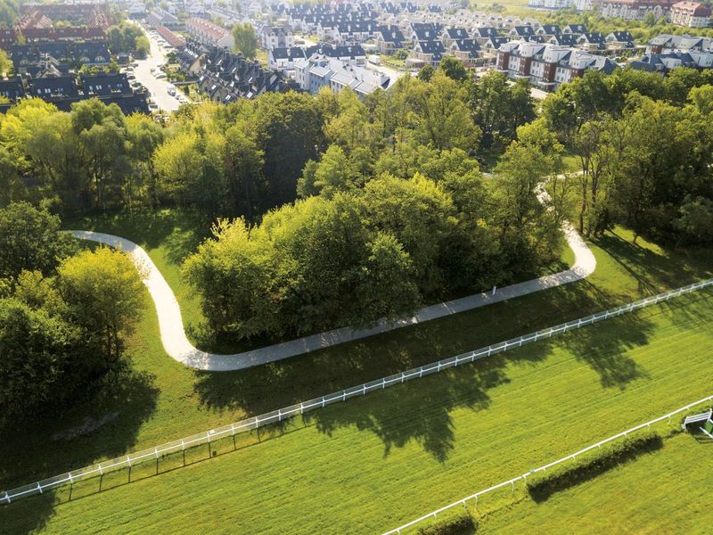 The Best of Wrocław Outdoors: Partynice Racecourse Has It All