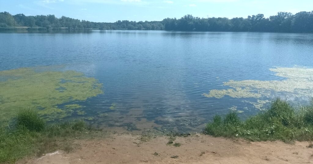 The Best Swimming Spots in Wrocław and Beyond