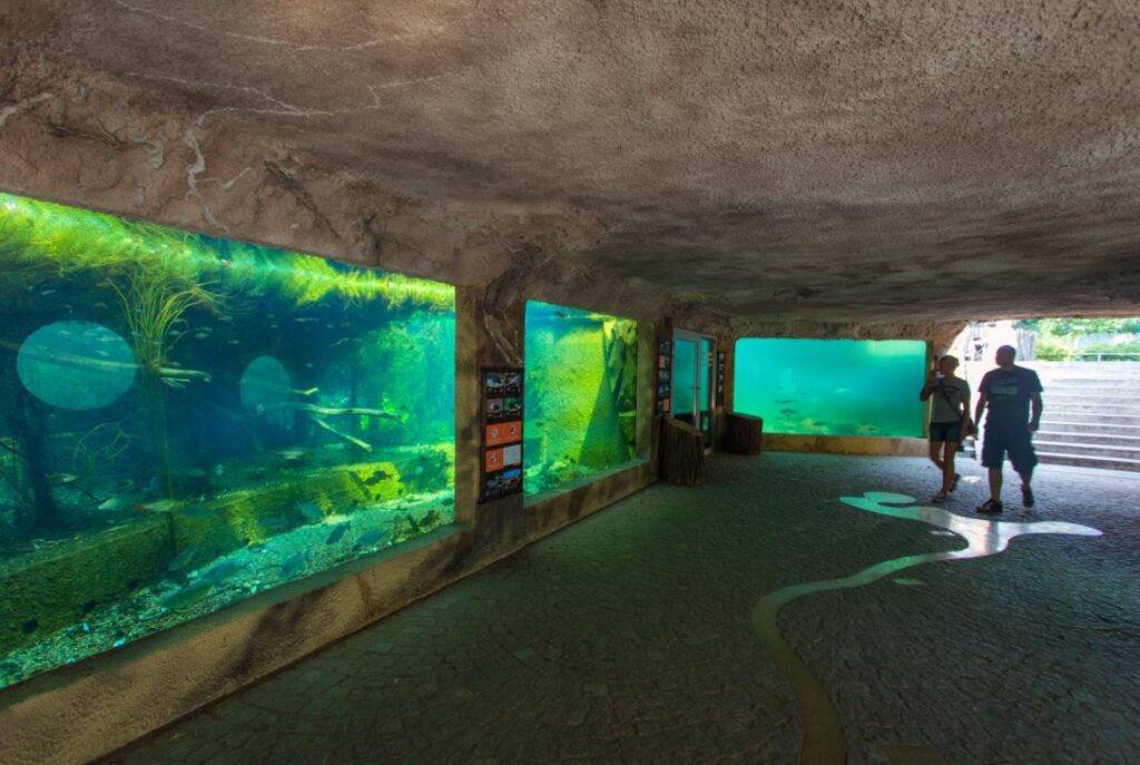 Visit Zoo Wrocław!