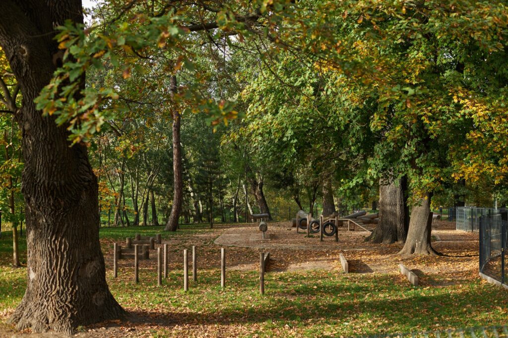 Dog Walking in Wrocław: The Best Routes, Parks, and Playgrounds for You and Your Pup