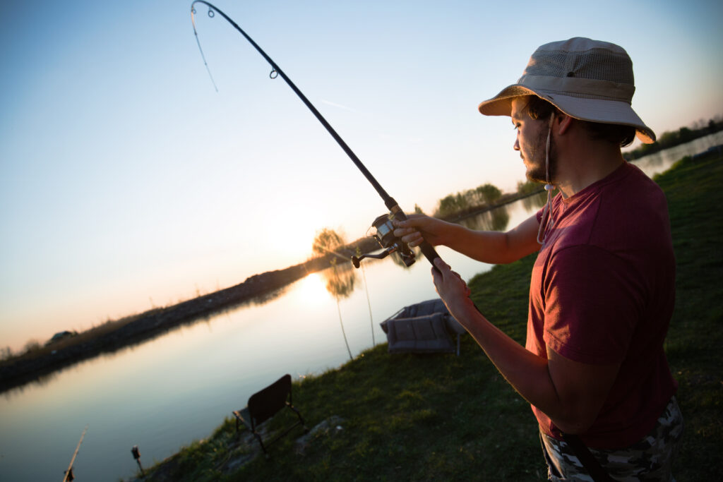 Wildlife in the Odra River: Discover the Vibrant Nature of Wrocław
