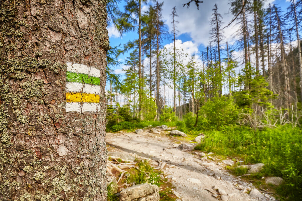 Three New Nature Reserves in Lower Silesia: Where to Go, What to See, How to Visit