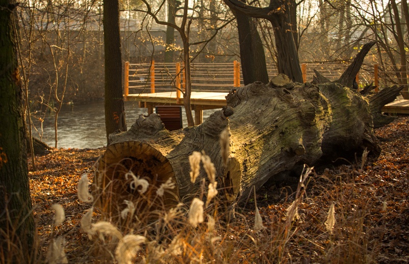 Discover Top 10 Best Parks in Wrocław