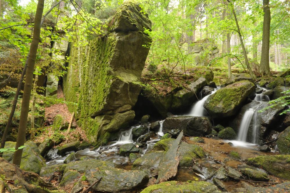 Three New Nature Reserves in Lower Silesia: Where to Go, What to See, How to Visit
