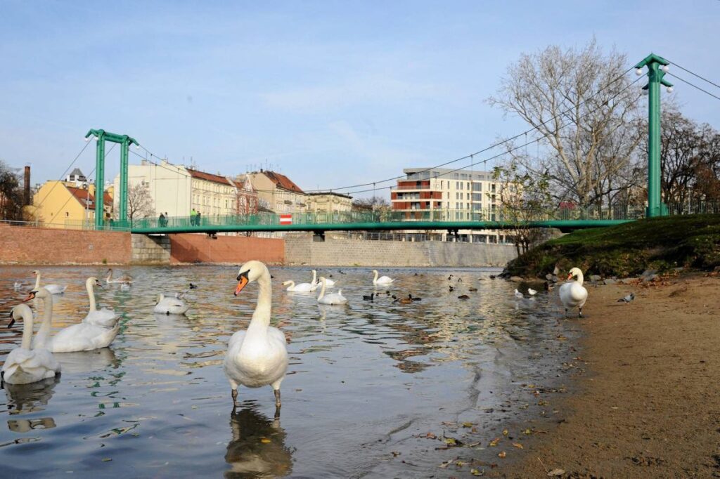 Walking Trails in Wrocław: 3 Scenic Routes to Fall in Love with the City
