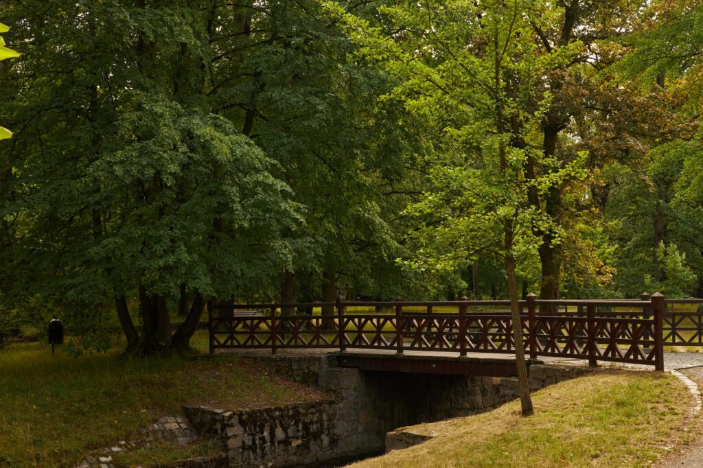20+ Scenic Running Trails in Wrocław You’ll Love