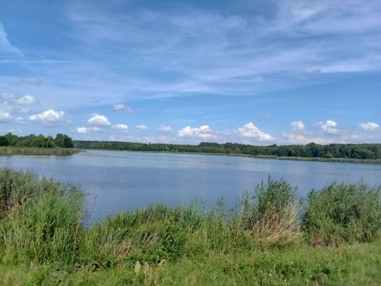The Best Swimming Spots in Wrocław and Beyond