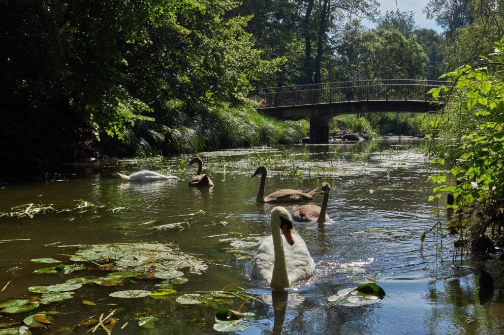 Discover Top 10 Best Parks in Wrocław